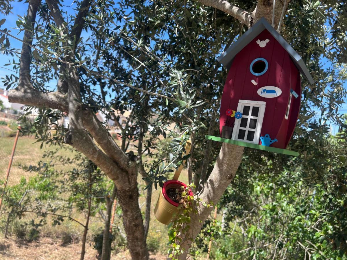 Refugio Dos Sapinhos Βίλα Silves Εξωτερικό φωτογραφία